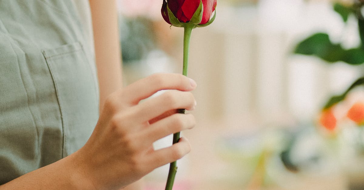 Creating Beautiful Arrangements with Native Australian Flora