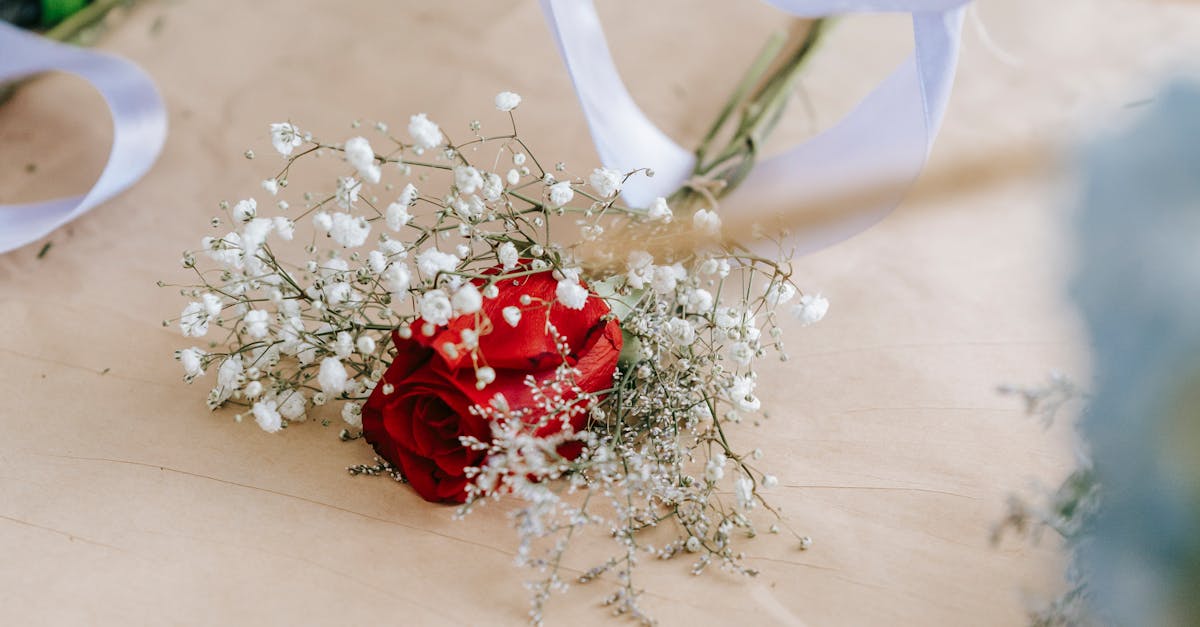 Designing With Drought-Resistant Plants for Unique Displays