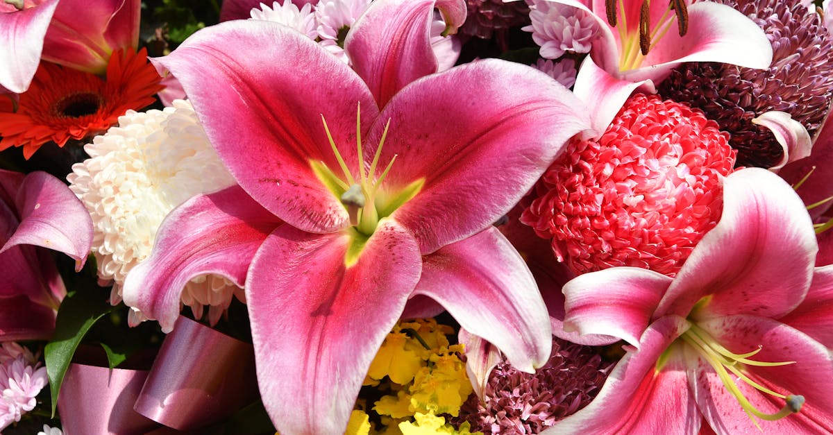 Elevating Your Floral Design with Seasonal Australian Flowers