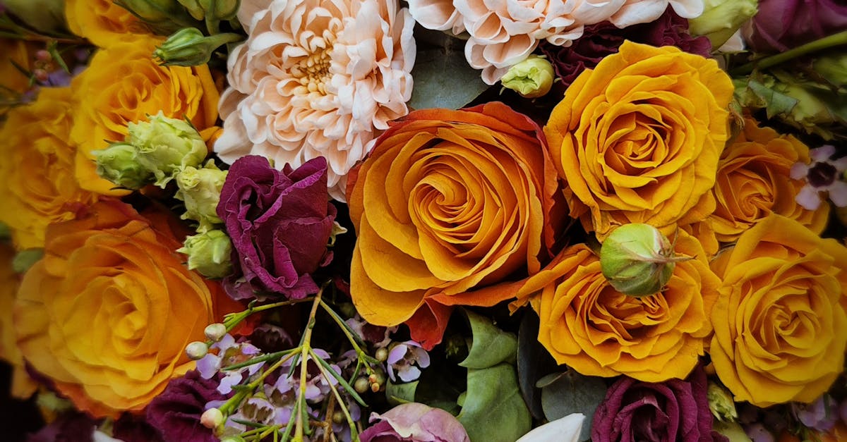 Tips for Choosing Flowers for Grief Support