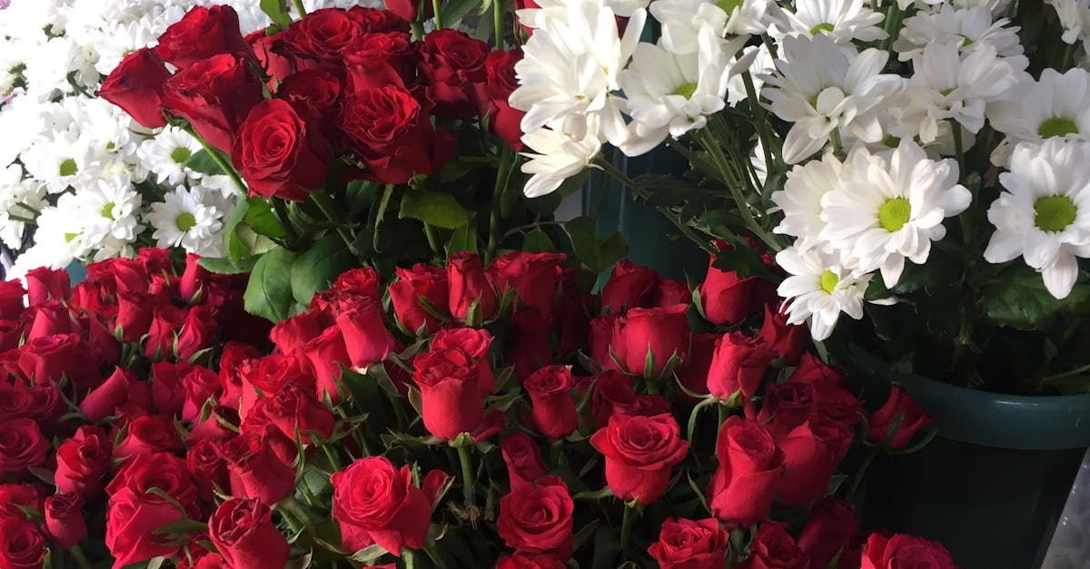 Winter Wonders: Seasonal Arranging with Native Australian Flowers